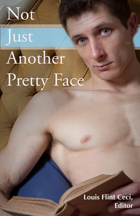 Not Just Another Pretty Face front cover